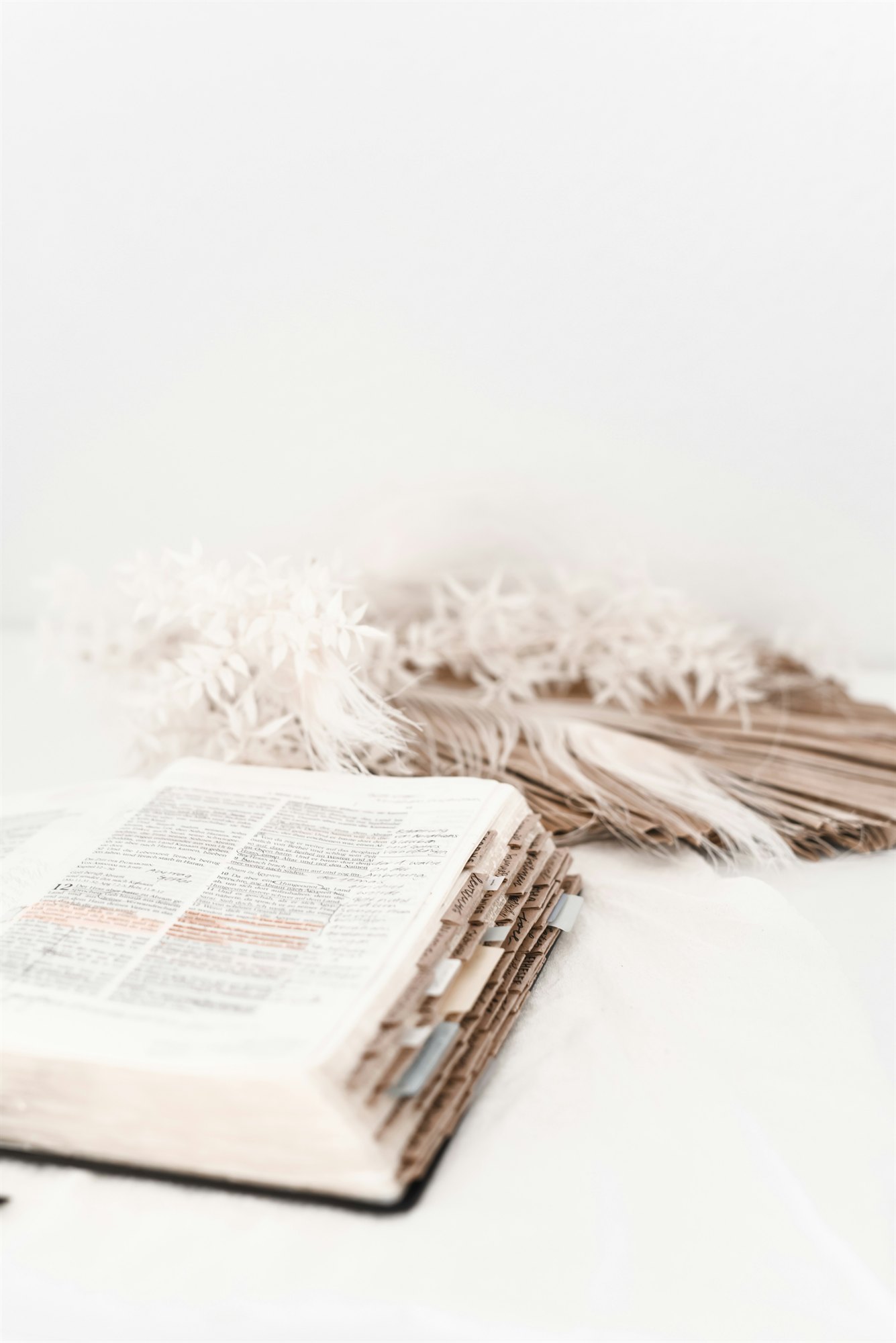 Sunlight falling on an open Bible and notes